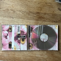 CDアルバム・Dragon Ash『PUBLIC GARDEN』の画像