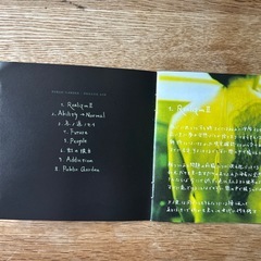 CDアルバム・Dragon Ash『PUBLIC GARDEN』の画像