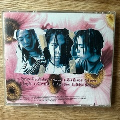 CDアルバム・Dragon Ash『PUBLIC GARDEN』の画像