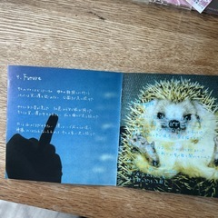 CDアルバム・Dragon Ash『PUBLIC GARDEN』の画像