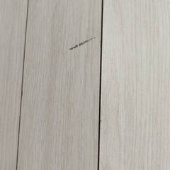 フローリング　カーペットの画像