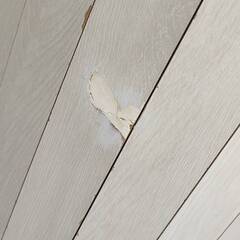 フローリング　カーペットの画像