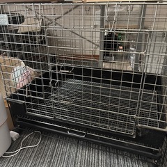うさぎ　ペット　中古　ゲージなど