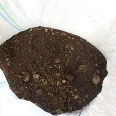 【東京都練馬区】花壇の庭土・残土、無料で差し上げます23【無料】の画像