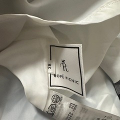 ロペピクニックの画像
