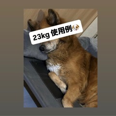 🐶コット(未使用の冬用起毛マット付き)の画像