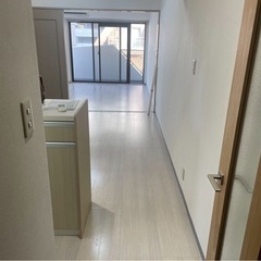 クロス屋さん、壁紙職人募集中⭐︎の画像
