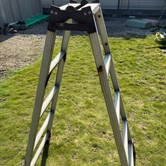 ハシゴ　5段の画像
