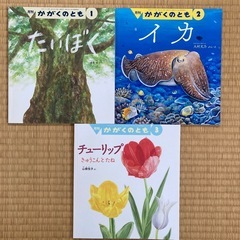月刊　かがくとのとも(2022年発行、全12冊)の画像