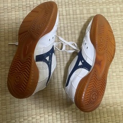 体育館シューズ（値段交渉応じます）の画像