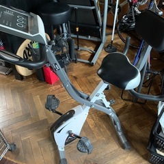 アルインコ　コンフォートバイクII AFB4309 GX/WXの画像