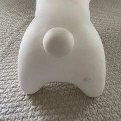 ブルーナボンボン　大の画像