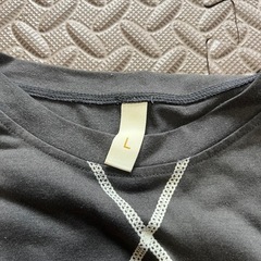 薄手ロングTシャツ (Lサイズ)の画像