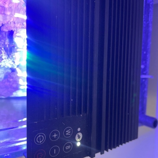 ※最終値下げ　海水用　NEMO ライト