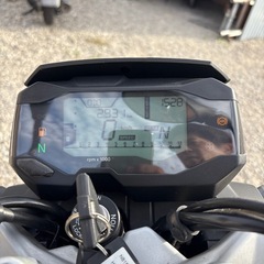 BMW  BMWＧ３１０R  実働　　令和4年車の画像