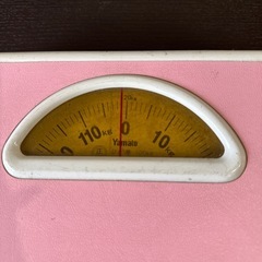 体重計　〜120kgの画像