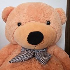 くまのぬいぐるみの画像