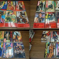 菊地秀行 新書 23冊 まとめて セット 魔戦記 妖殺鬼行 小説 ノベルス 文庫本 札幌の画像
