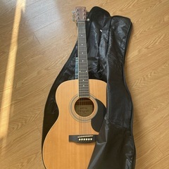 honey bee アコースティックギター