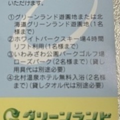 三井グリーンランド　入園券　一枚の画像