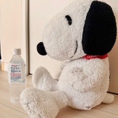 USJ スヌーピー ぬいぐるみの画像