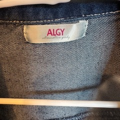 ALGYセットアップの画像