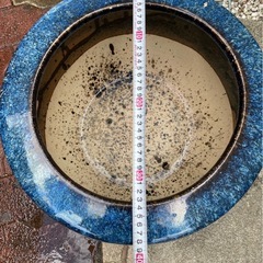 メダカ鉢 金魚鉢 火鉢 睡蓮鉢 陶器  鉢の画像