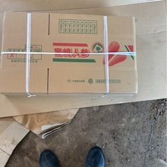 市場用　にんじん　ダンボール　300箱