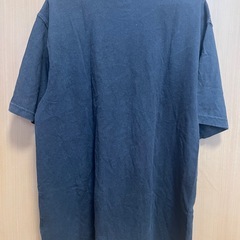 carharttのメンズTシャツの画像