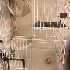 【美品】猫 ケージ 2段／ほぼ未使用✨付属品つきの画像