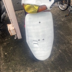 タクトの画像