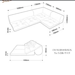 定価2万円　セルタン　ローソファの画像