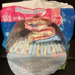 ペット（犬）用おむつの画像