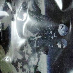 NieR:Automata Ver1.1a オリジナルアクリルアートパネル 2B(ヨルハ二号B型)&9S(ヨルハ九号S型) 【エポスカード新規入会特典】の画像