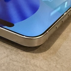 iPhone16pro 1TB ホワイトチタニウムの画像