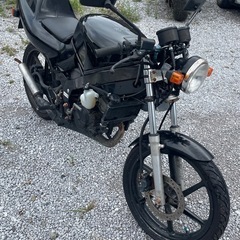 ＮＳ－１　実働の画像