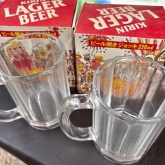 キリンラガービール開き'95