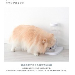 ペット用給水器の画像