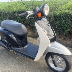 ホンダ　トゥデイ　AF61 実働好調　配送相談可能の画像