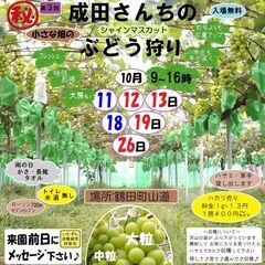 丸秘！第3回ｼｬｲﾝﾏｽｶｯﾄぶどう狩り鶴田町