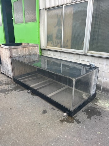 大型アクリル水槽  爬虫類