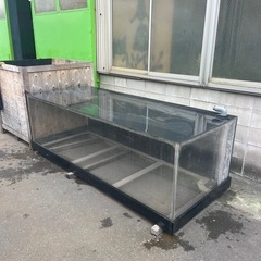 大型アクリル水槽の画像