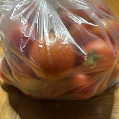 ★本日朝採り新鮮野菜のうちナス・トマト2種類を 1セット¥200にてお譲り致します♪⑰の画像
