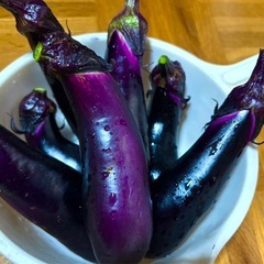★本日朝採り新鮮野菜のうちナス・トマト2種類を 1セット¥200にてお譲り致します♪⑰の画像