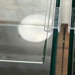 【美品】水槽ラック、水槽セット 使用期間5ヶ月の画像