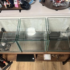 【美品】水槽ラック、水槽セット 使用期間5ヶ月の画像