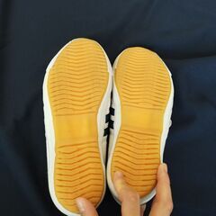 体育館シューズ ラッキーベル サイズ25.5センチの画像