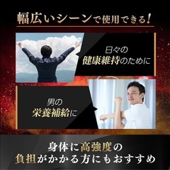 【新品】グリフィックス アクティブコア サプリ 亜鉛 高麗人参 マカ 男性活力 栄養補給の画像