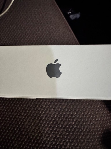 限定2個、新品未使用アップルエアーポッズ4ノイズキャンセラー付き