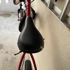 ストライダーの画像